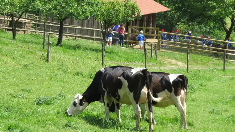 Hôtels à : Comarca de Ordes