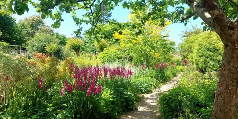 East Lambrook Manor Gardens