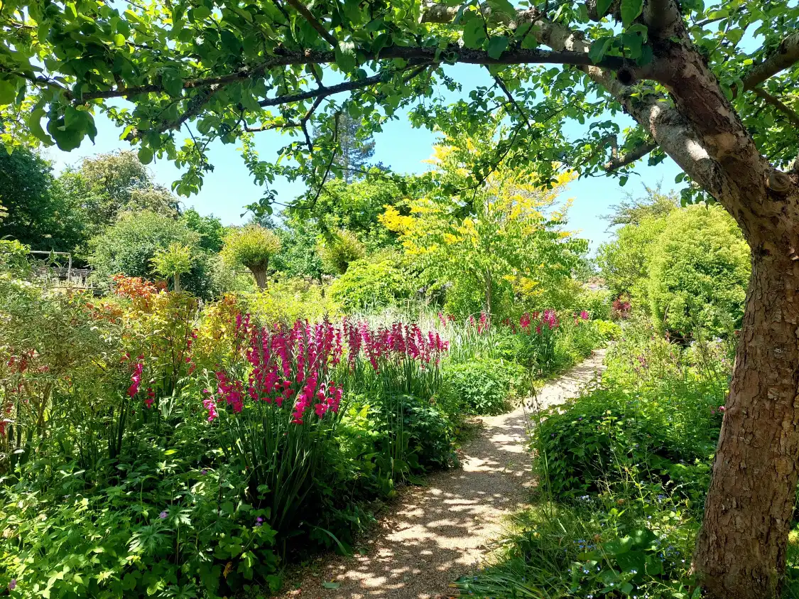 East Lambrook Manor Gardens附近的飯店