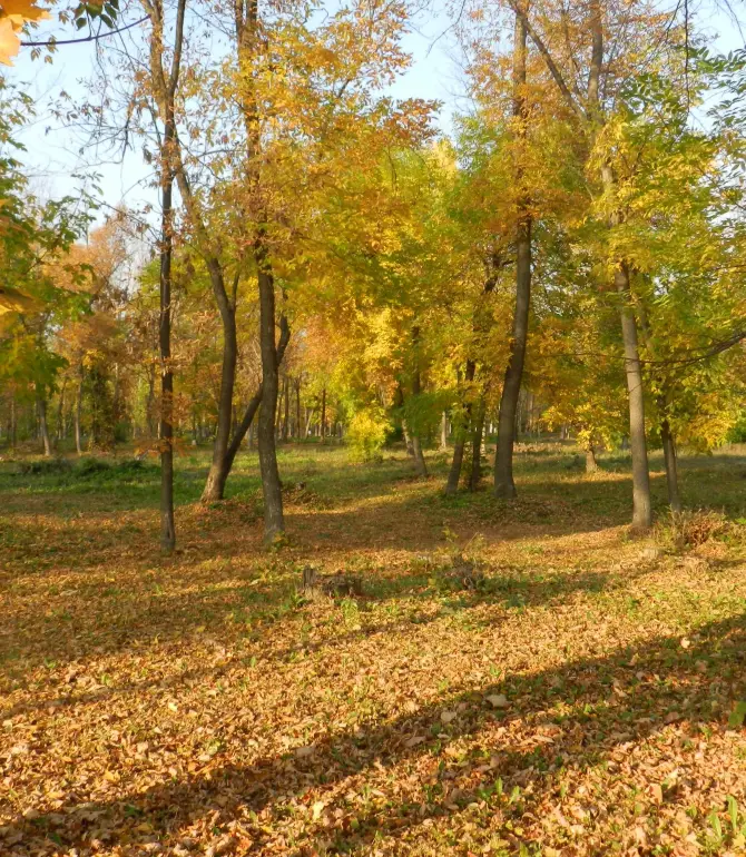 город Салават