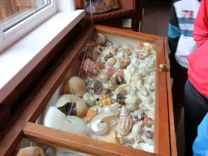 Mineralogical Museum S.V.Zhigalova