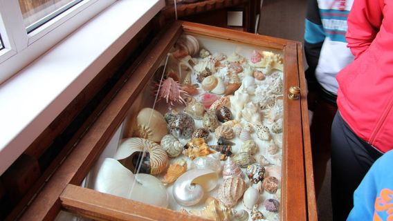 Mineralogical Museum S.V.Zhigalova