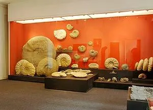 Mineralien Museum