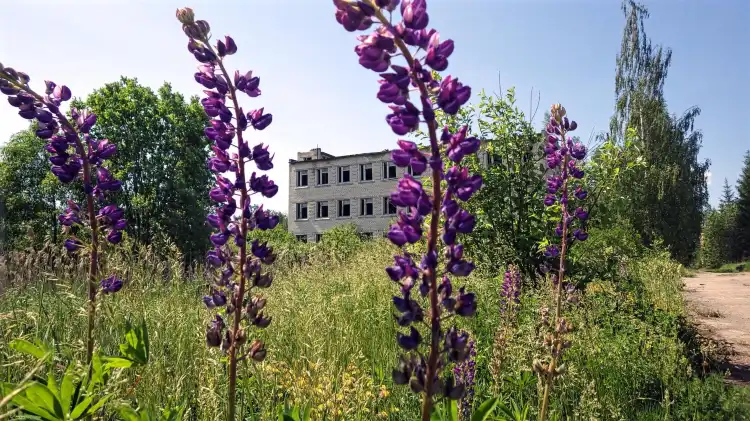 Hotels in Skrundas pilseta