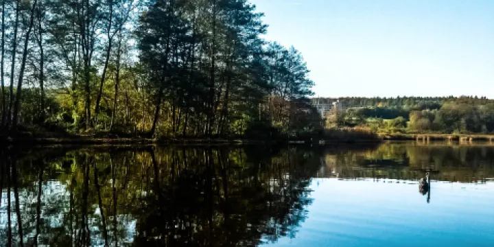 Naturfreibad Zellersee