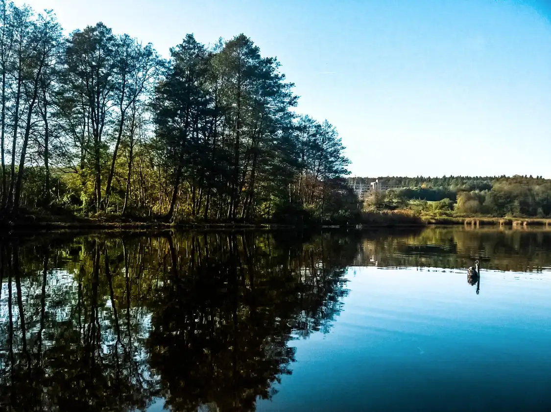Hotels near Naturfreibad Zellersee