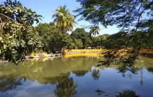 Ho Chi Minh and The fifth military zone Museum