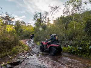 Gasper adventure park