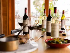 Calabria Family Wines