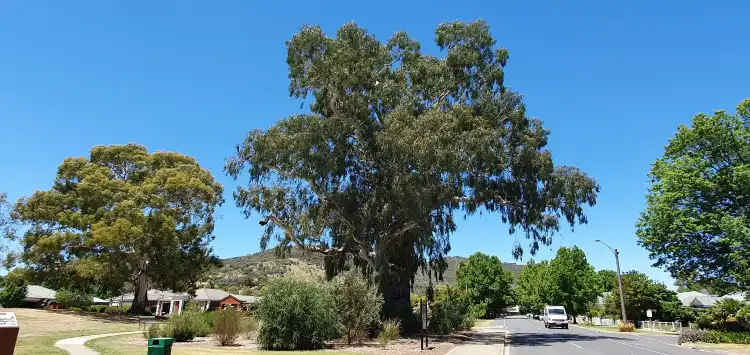Hotel a Myrtleford
