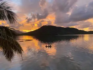 Pohnpei Surf and Dive Club