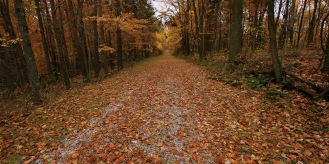Clear Creek Metro Park