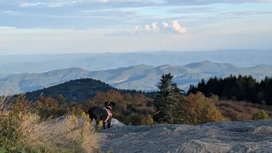 Black Balsam Knob