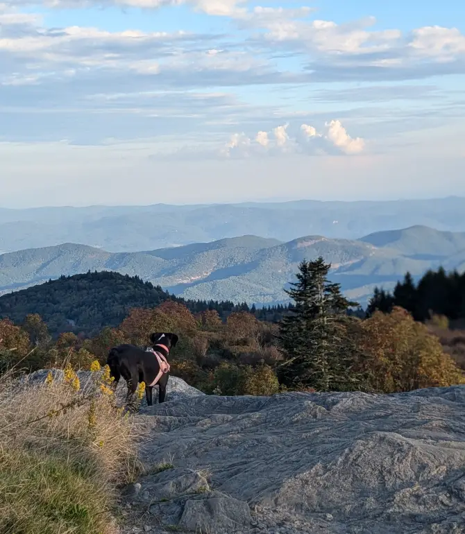 East Fork