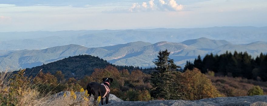 Black Balsam Knob