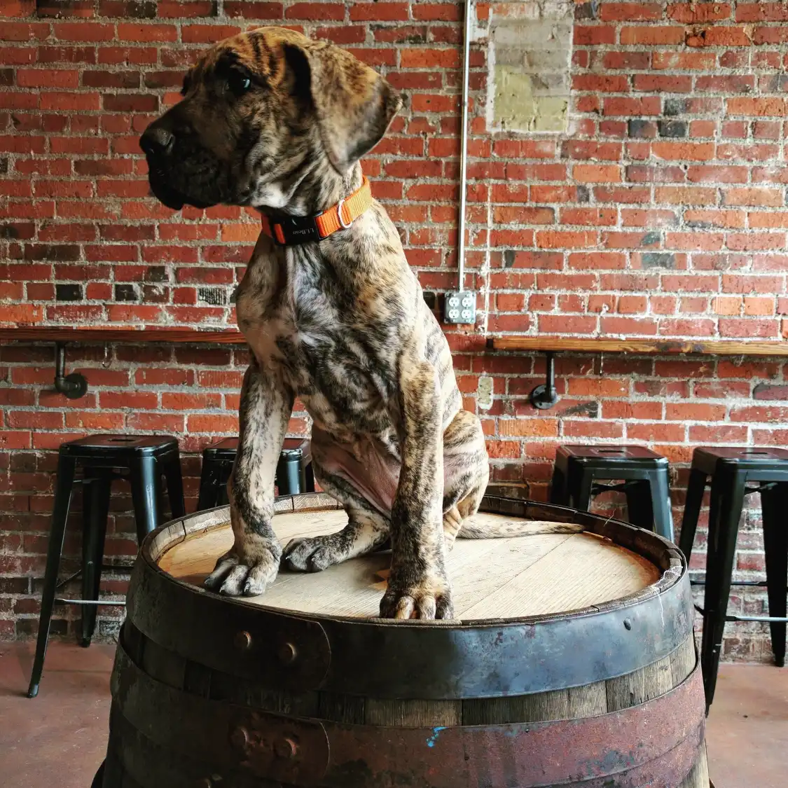 โรงแรมใกล้Structures Brewing