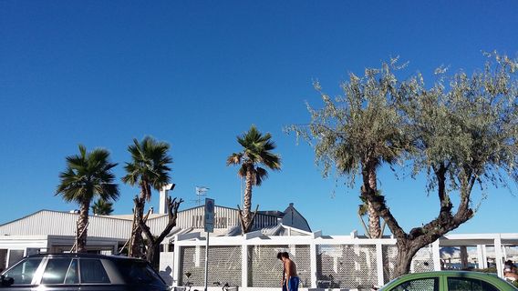 Ippo Beach Club - Playa Privada