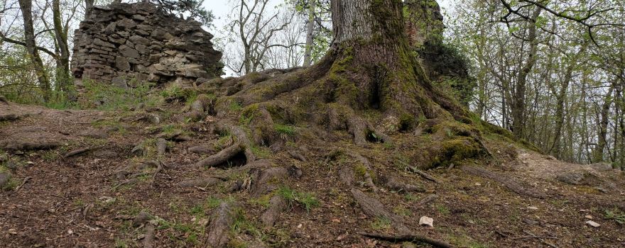 Castle Ruins Hochhaus