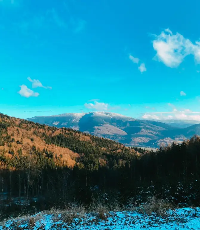 Wiesenberg
