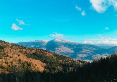 Loucna nad Desnou