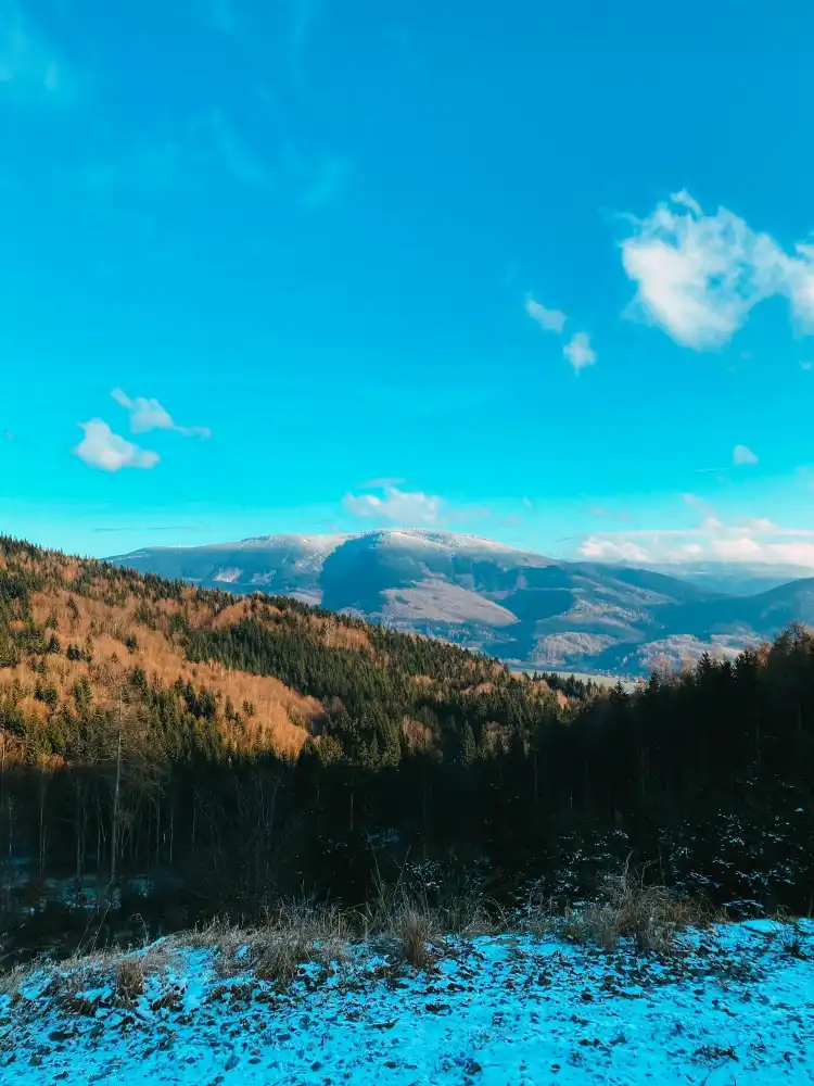 Loučná nad Desnou