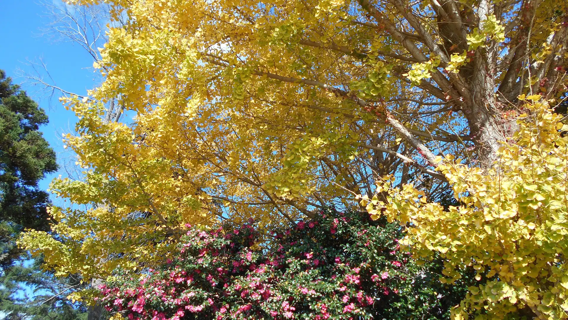 Hotels near Kawaguchi Sports Park