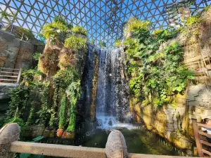 Geoje Botanical Garden Jungle Dome