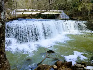 Potter's Falls