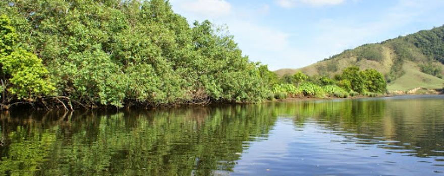 Daintree River