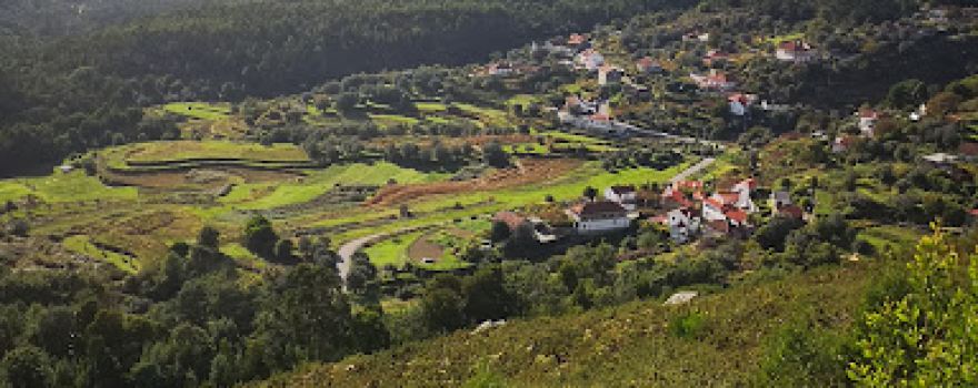 Viveiro Florestal de São Lourenço da Montaria