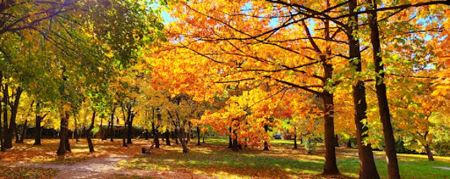 Kneipp Park