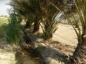 Abdullah abad
