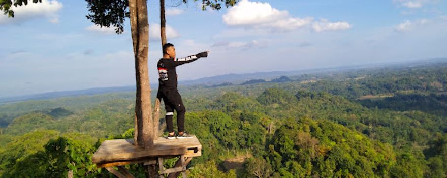 Puncak Lima Jari