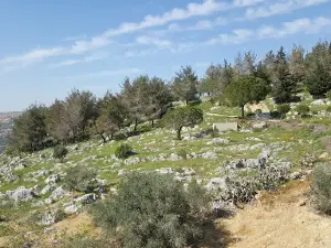 Tebnine Memorial Garden