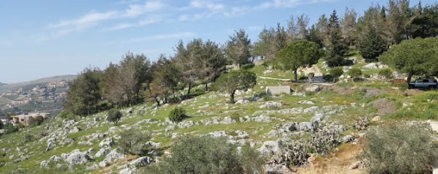 Tebnine Memorial Garden