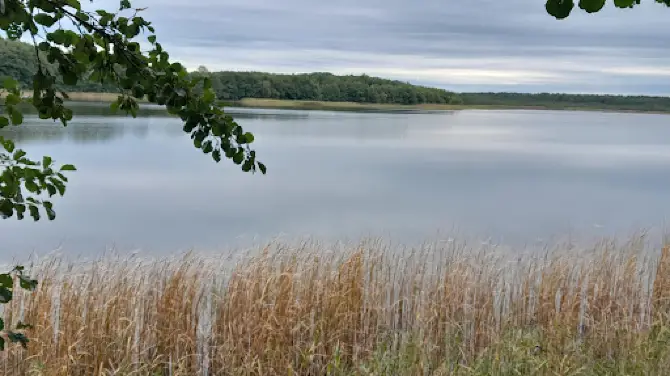 Beobachtungsstand Hofsee