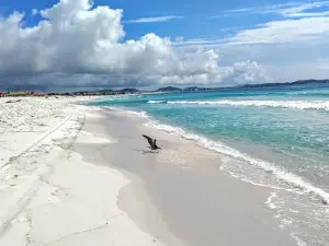 Rocket Beach