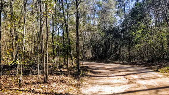 Westgate Walking Trails