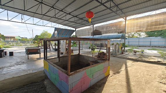 Desaru Alpaca Farm