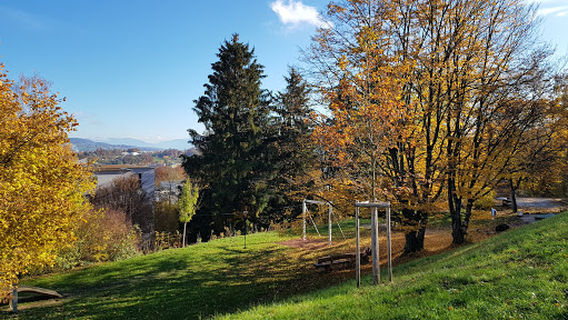 Spielplatz Feldblumen