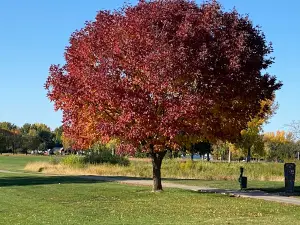 The Bluffs Golf Course