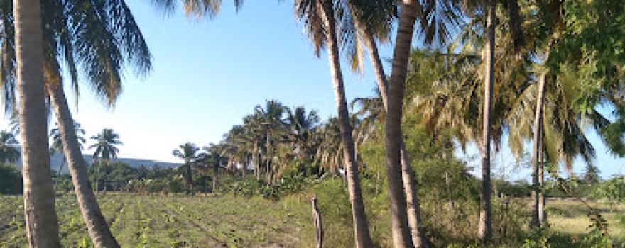 Ruinas de Pueblo Viejo