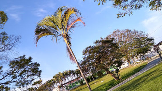 Centro Esportivo João do Pulo