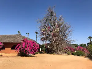Baobab Sacré