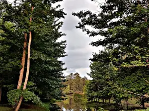 Aurora Park