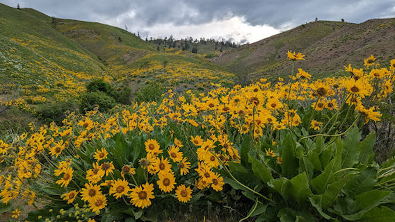 Day Drive Trailhead (Sage Hills Gateway)