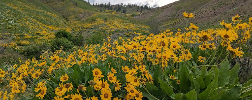 Day Drive Trailhead (Sage Hills Gateway)