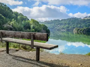 Lake Chabot Regional Park