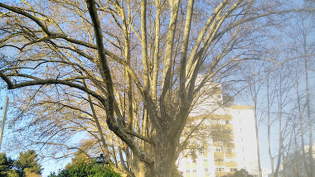 Jardim da Quinta de Santa Clara