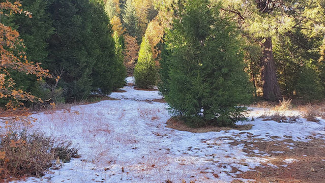 Start Of Hiking Trail